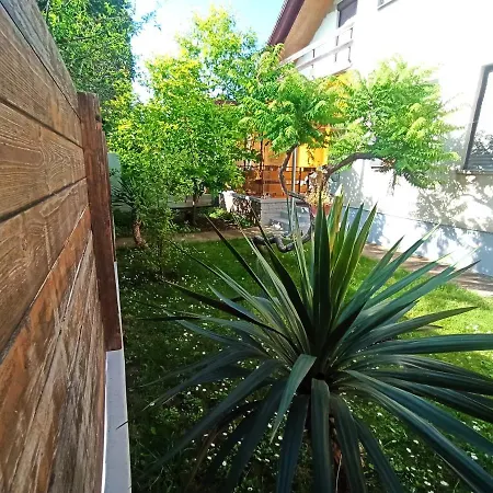 Pelso Hovirag שיופוק