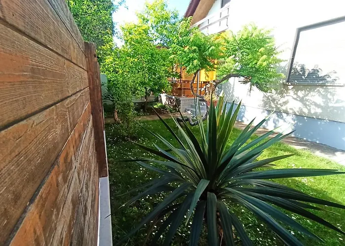 Pelso Hovirag Siófok